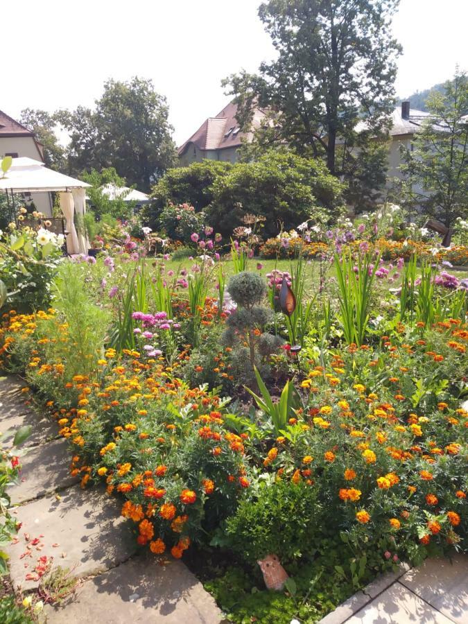 Ferienwohnungen Wilhelm Bad Schandau Exteriör bild